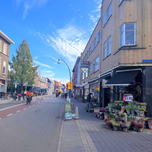 Bloemist Assendorp